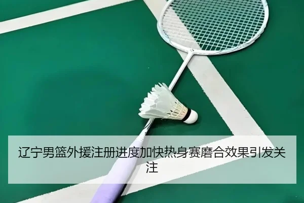 辽宁男篮外援注册进度加快热身赛磨合效果引发关注