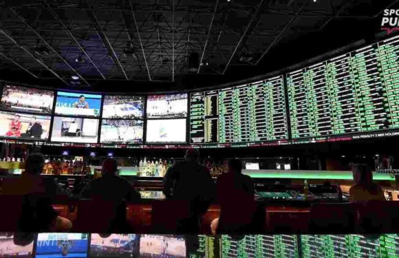 What sports betting ruling means for gamblers