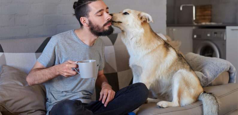 5 ways to tell your dog you love them in their own language